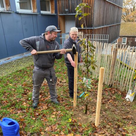 Baumspende der Fa. Dankerl Bau GmbH